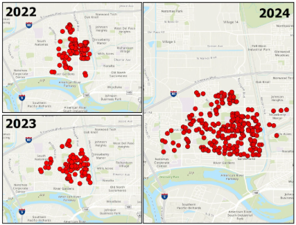 Three-panel map showing the spread of invasive mosquito detections in the South Natomas area of Sacramento from 2022 to 2024. Red dots represent detection sites. In 2022 and 2023 (shown on the left), detections are clustered densely in a central area. By 2024 (shown on the right), the red dots spread significantly across a wider area, indicating increased mosquito activity and geographic expansion over time.